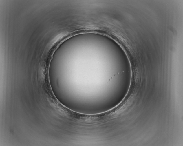 X0000111851163200907231422