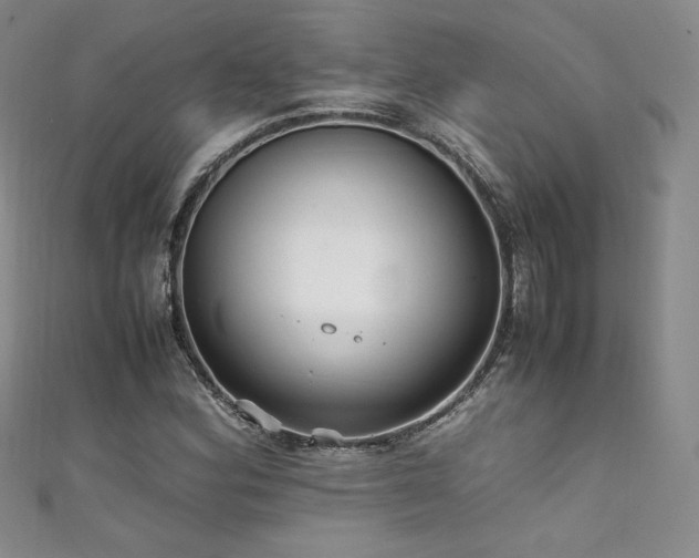 X0000111851164200907231422