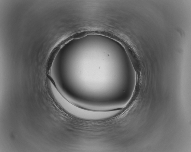 X0000111851165200907231422