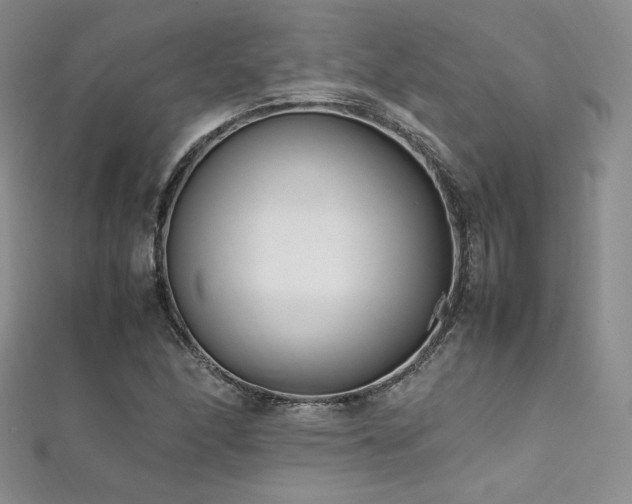 X0000111851166200907231422