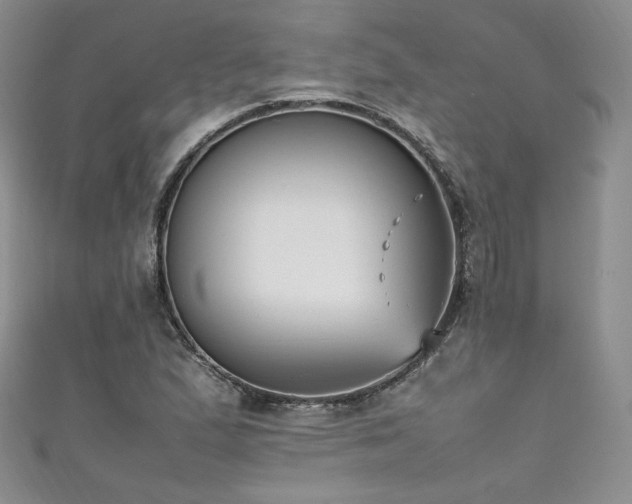 X0000111851167200907231422