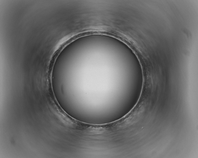 X0000111851168200907231422