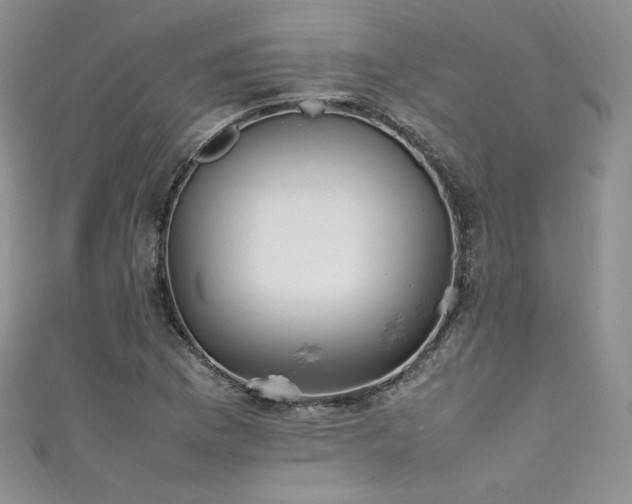 X0000111851169200907231422