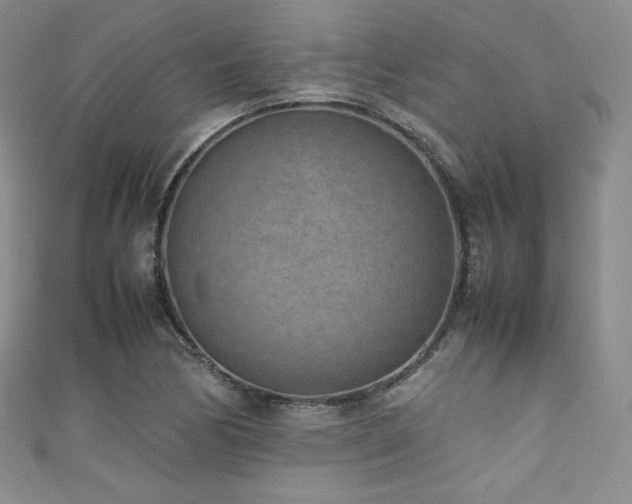 X0000111851170200907231422