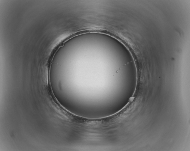 X0000111851171200907231422