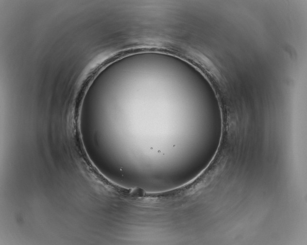 X0000111851172200907231422