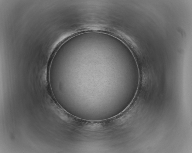 X0000111851174200907231422