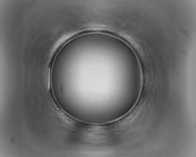 X0000111851175200907231422