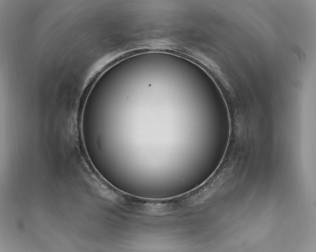 X0000111851176200907231422