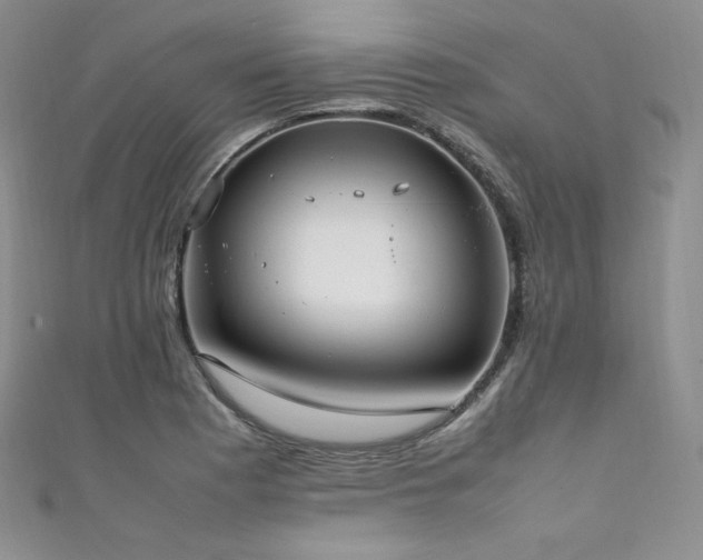 X0000111851177200907231422