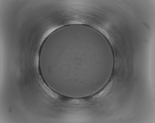 X0000111851179200907231422
