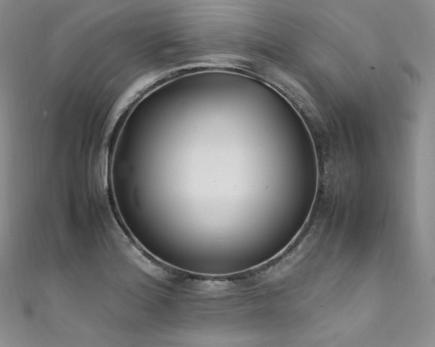X0000111851180200907231422