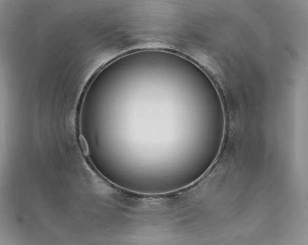 X0000111851181200907231422