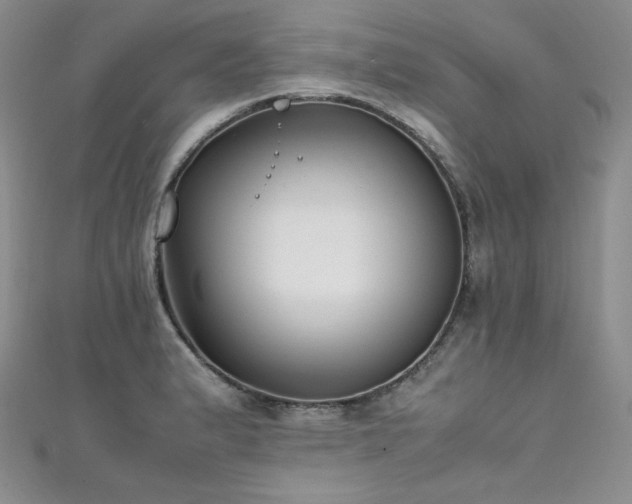 X0000111851183200907231422