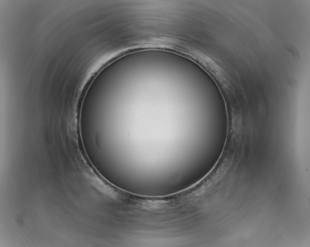 X0000111851184200907231422