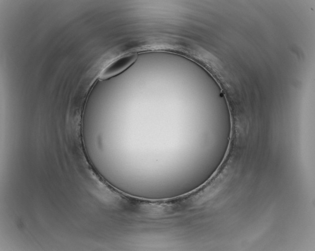 X0000111851185200907231422