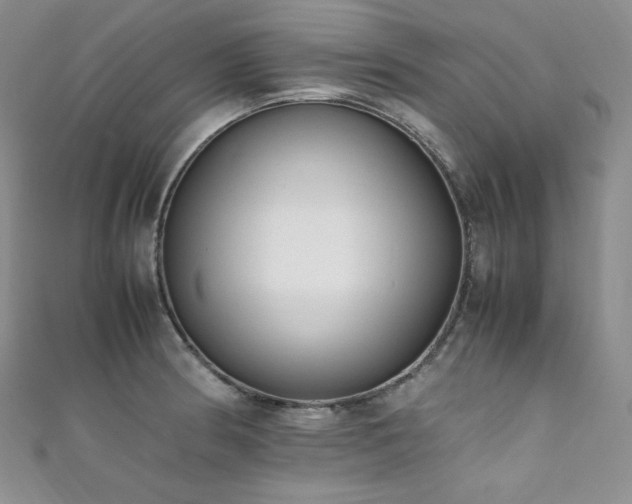 X0000111851186200907231422