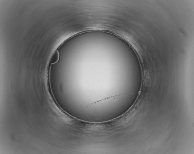 X0000111851187200907231422