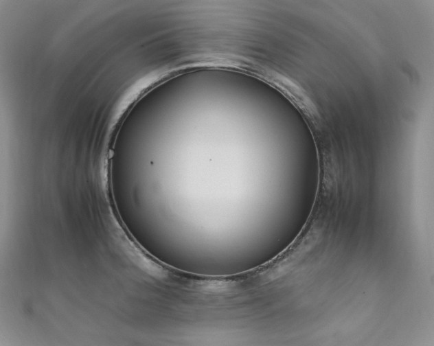 X0000111851188200907231422
