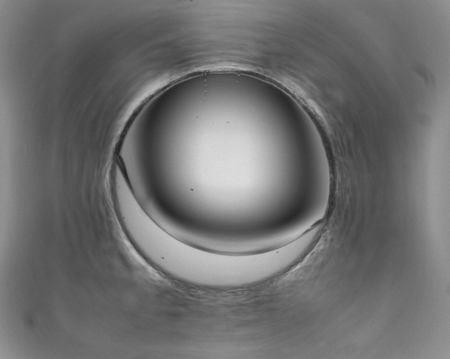 X0000111851189200907231422