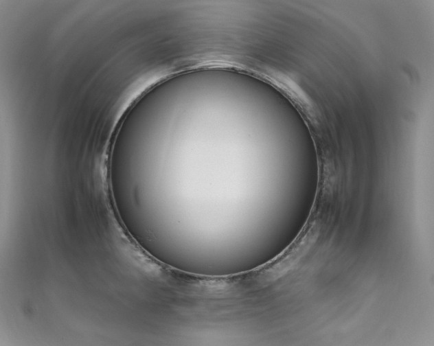X0000111851190200907231422