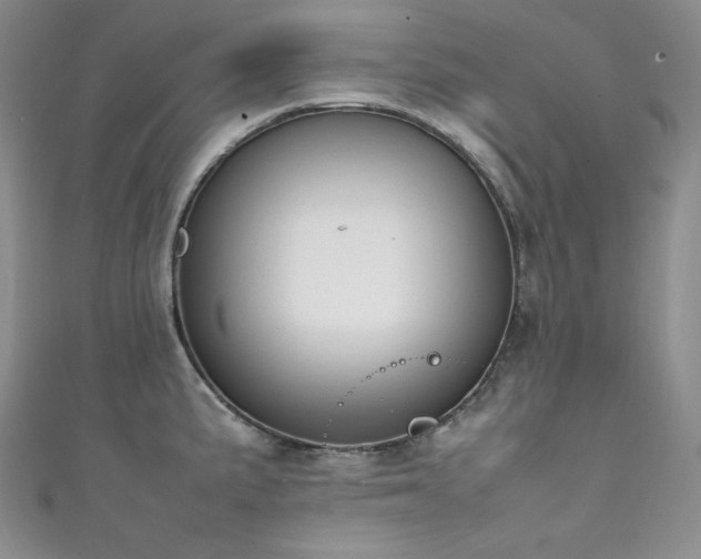 X0000111851191200907231422