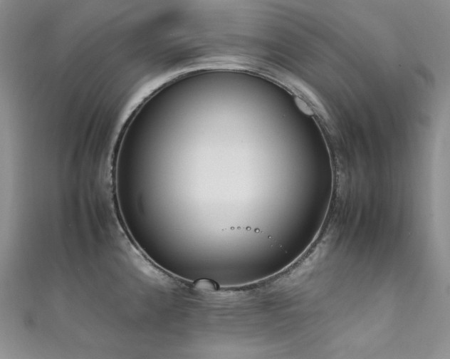 X0000111851192200907231422