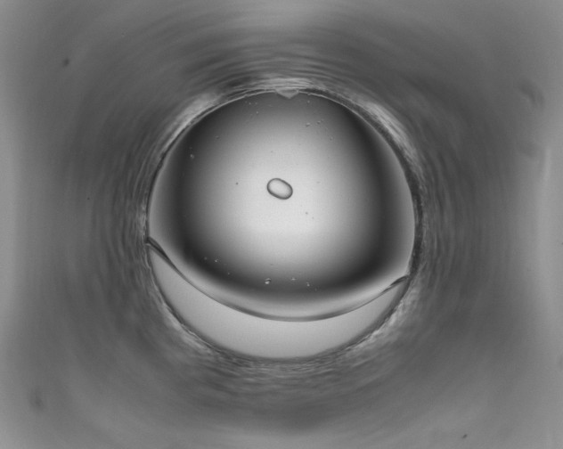 X0000111851193200907231422