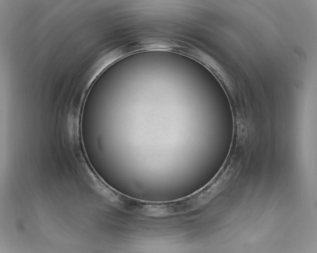 X0000111851194200907231422