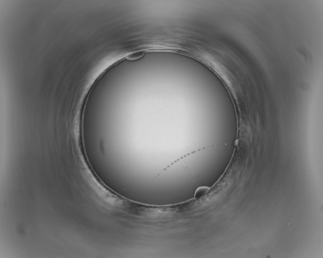 X0000111851195200907231422