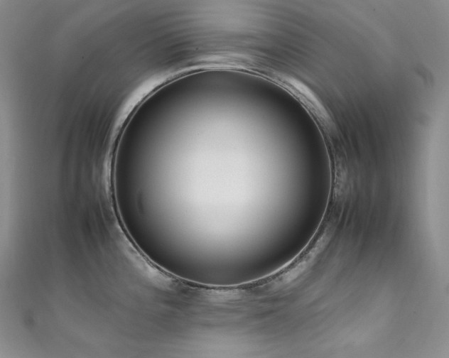 X0000111851196200907231422