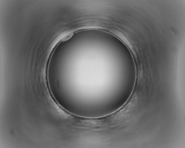 X0000111851197200907231422