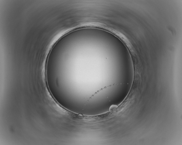 X0000111851199200907231422