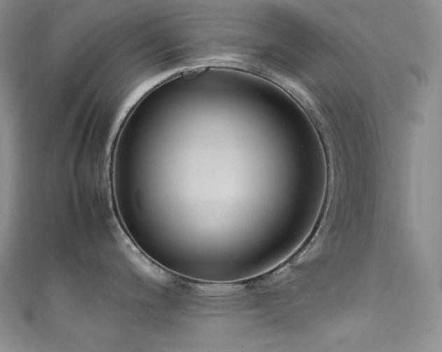 X0000111851200200907231422