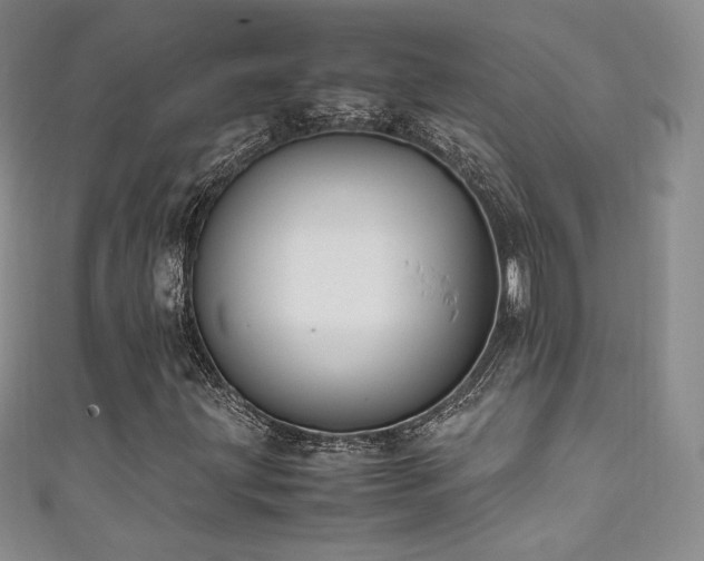 X0000111851203200907231421