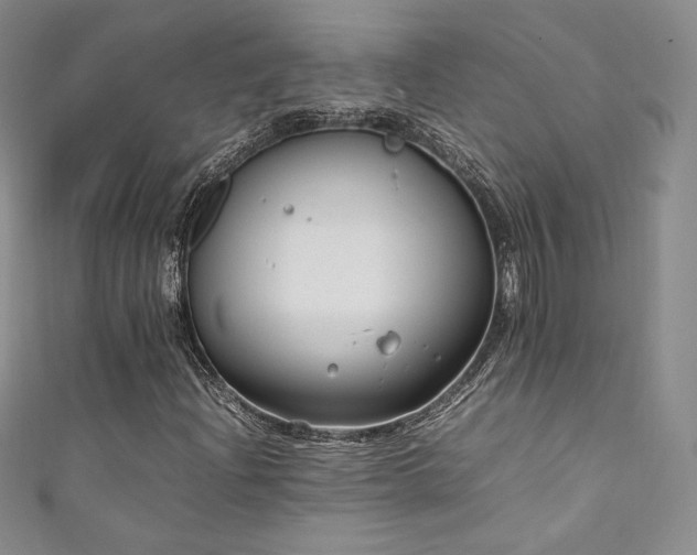 X0000111851204200907231421