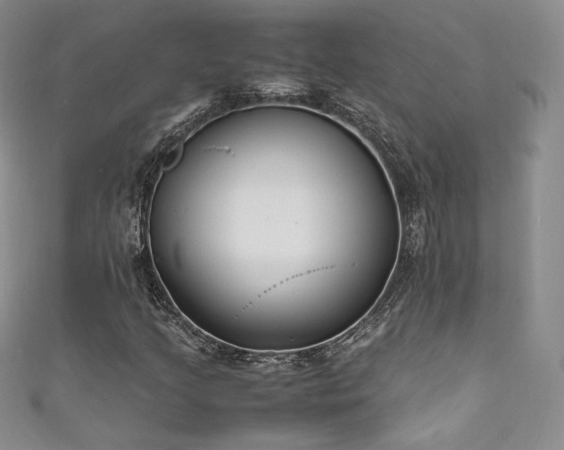 X0000111851205200907231421