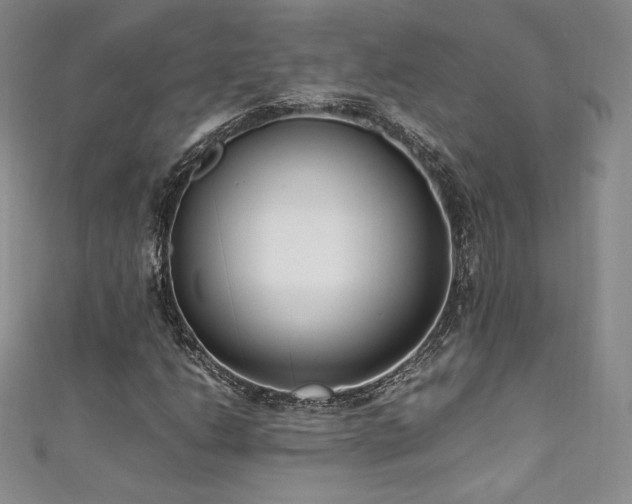 X0000111851206200907231421