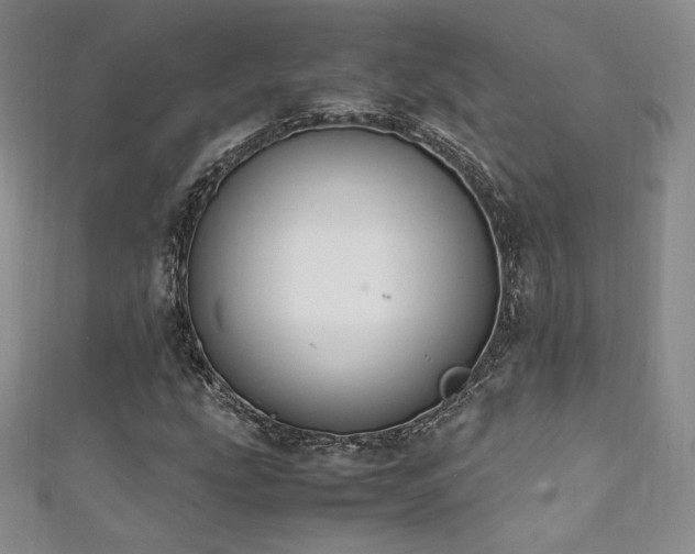 X0000111851207200907231421