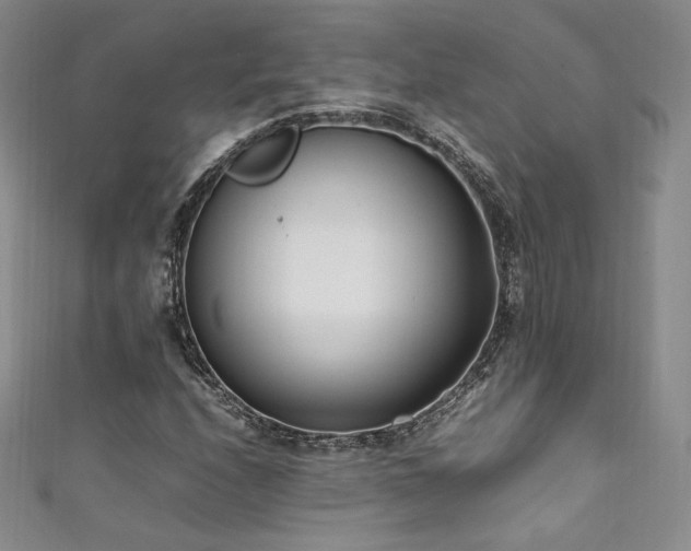 X0000111851208200907231421