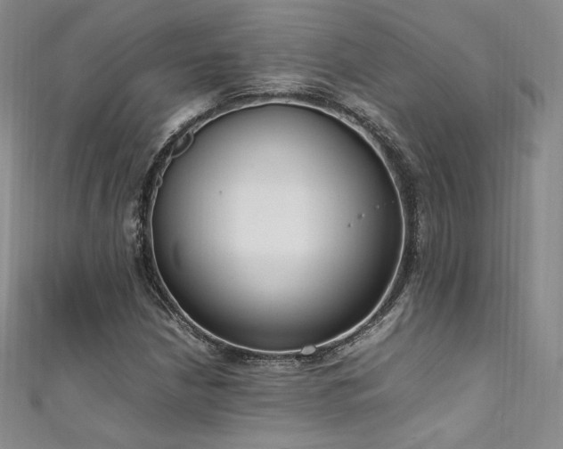 X0000111851210200907231421