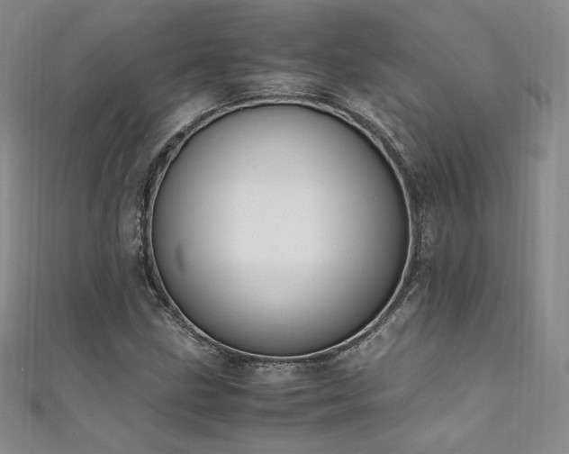 X0000111851211200907231421