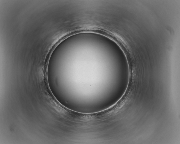 X0000111851212200907231421