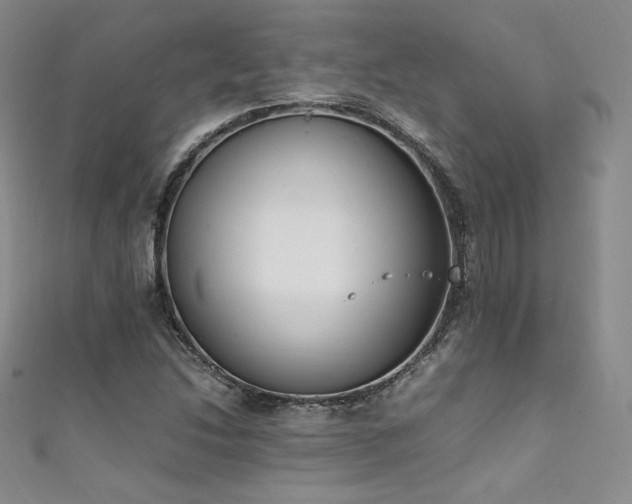 X0000111851214200907231421