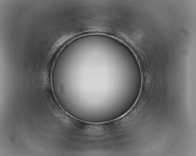 X0000111851215200907231421