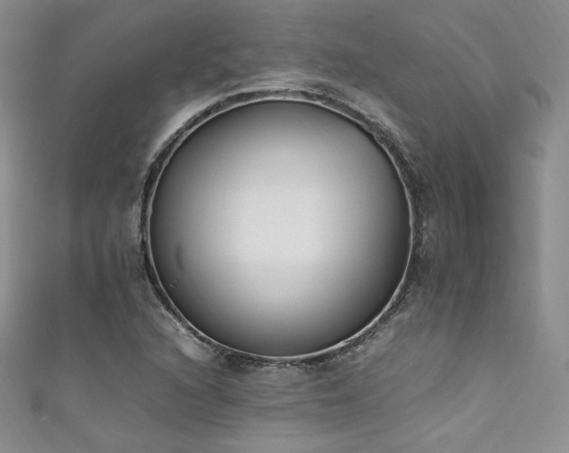 X0000111851216200907231421