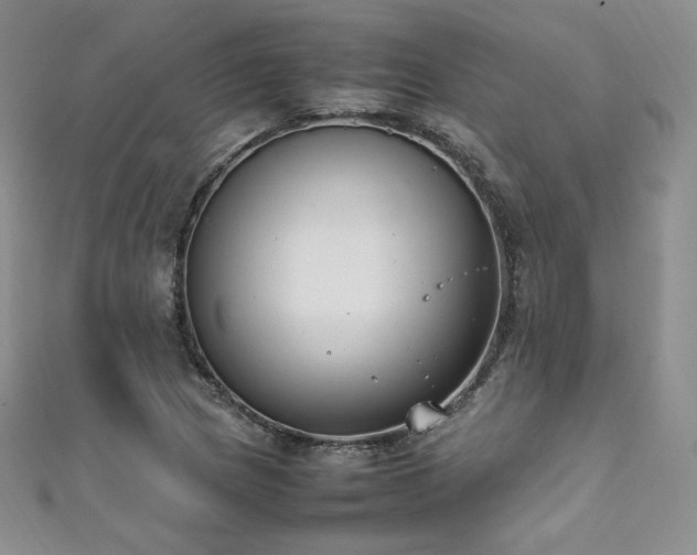 X0000111851217200907231421