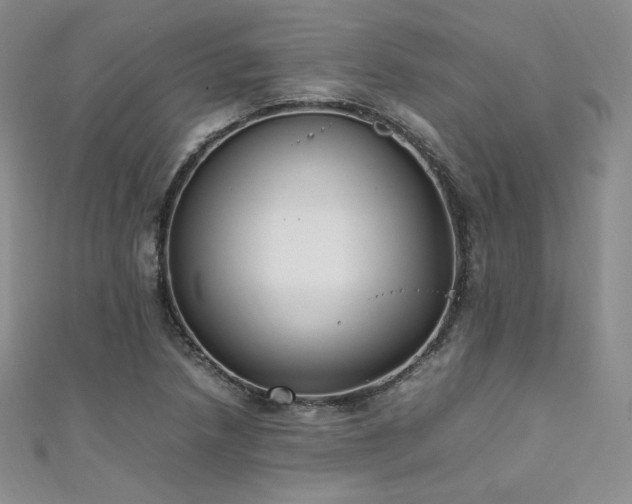 X0000111851218200907231421