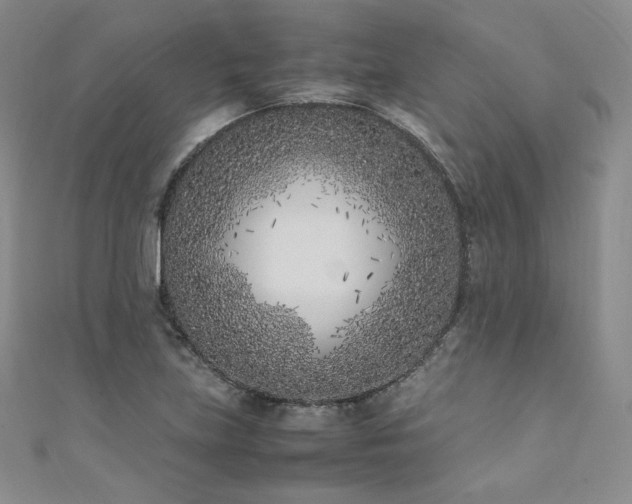 X0000111851219200907231421
