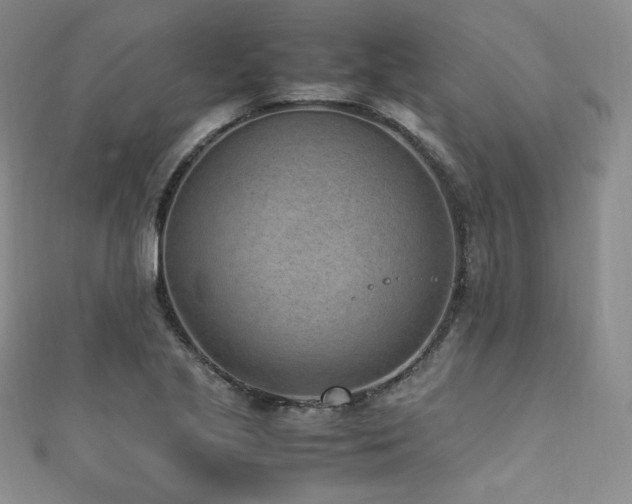 X0000111851221200907231421